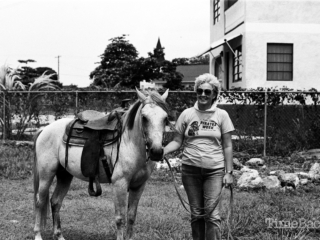 A  horse in Savannah