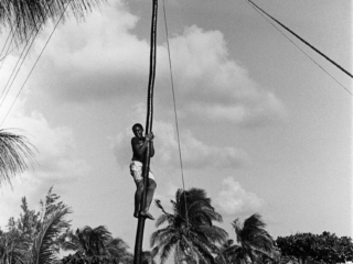 Grease pole climbing