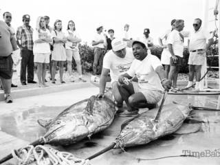Marlin caught during Million Dollar Month