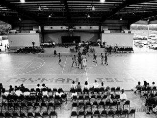 Basketball at the Lions Centre