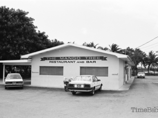 Mango Tree, 1985