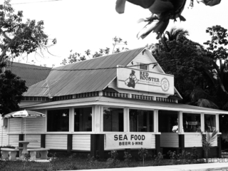 Red Rooster in George Town