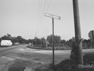 Tropical Gardens in the 1980s