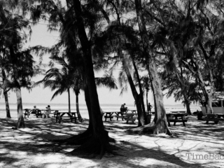 Rum Point in 1987