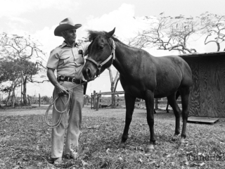 A man and his horse