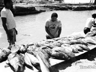 George Town fish market