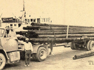 Electrical poles