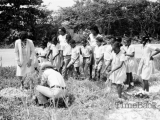 Tree-planting