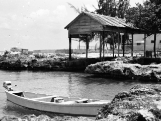 Boat in the water