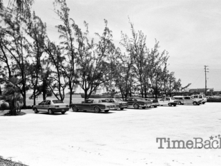 Dr Roy's parking lot, 1992