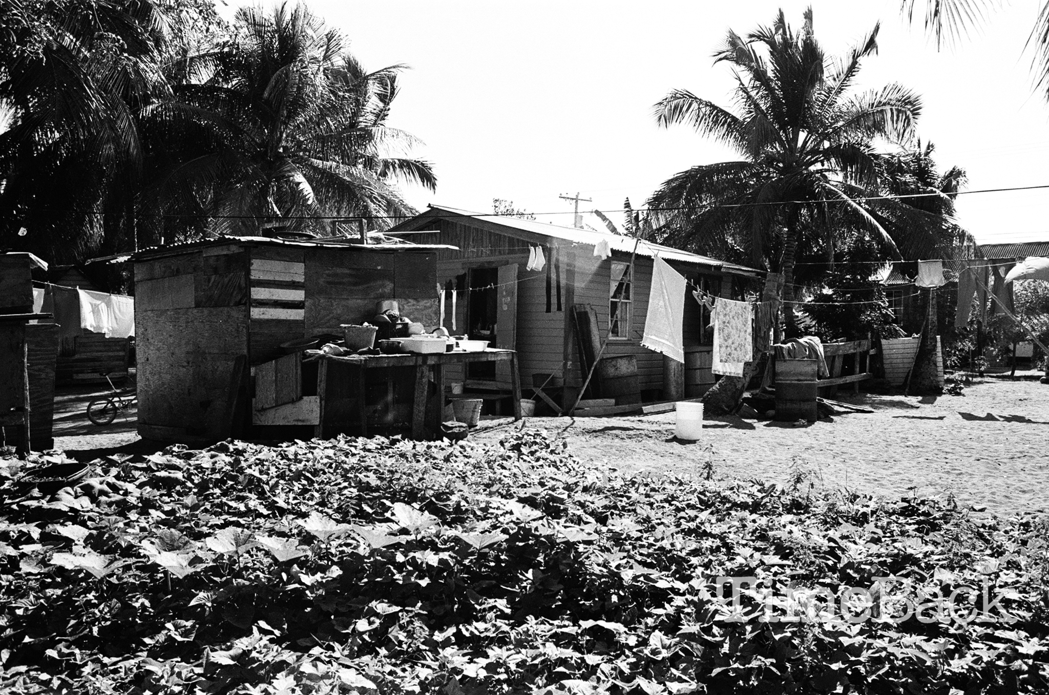 Old East End House, 1985