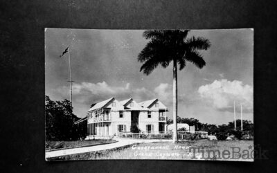 Picture of the Old Government House, Art Exhibition, 1985