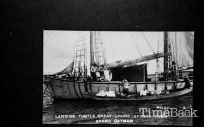 Landing turtle, Great Sound, George Town, 1985