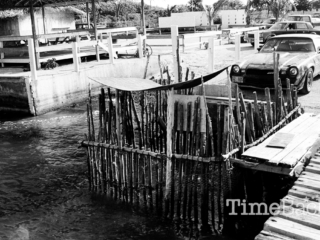 Turtle pen, 1986
