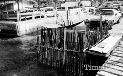 Turtle Pen, 1986