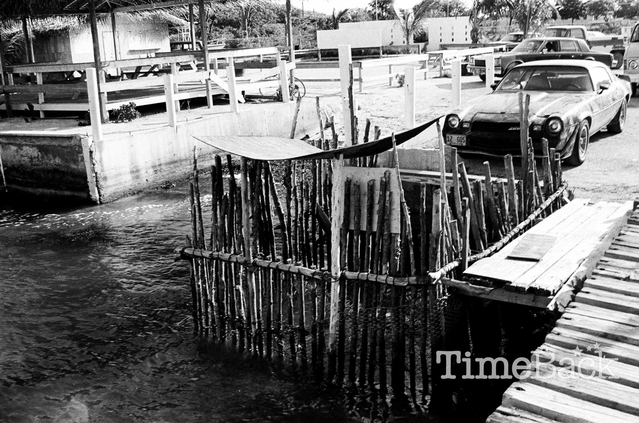 Turtle Pen, 1986