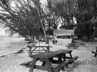 Rum Point Club, 1987