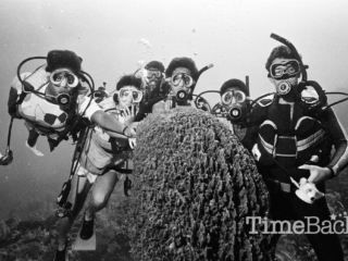 Divers, 1987