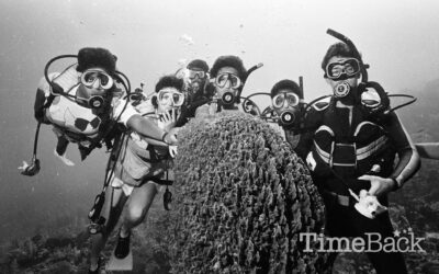 Divers, 1987
