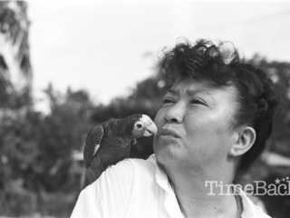Pepe Falter parrot, 1987
