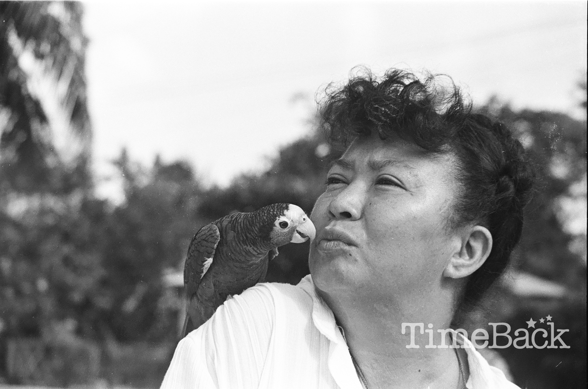 Pepe Falter Parrot, 1987