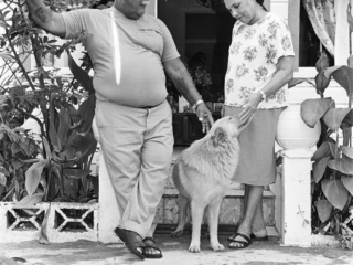 People of the community, 1985